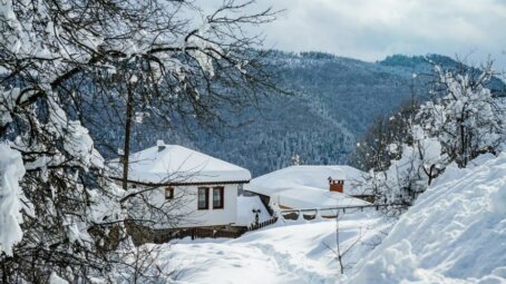 Снегопад не помеха: 10 важных дел в саду в конце сезона
