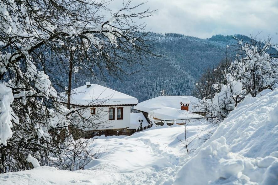 Снегопад не помеха: 10 важных дел в саду в конце сезона