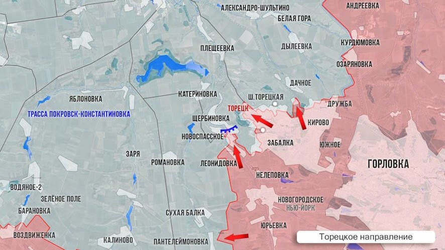 Фронтовая сводка Олега Царёва на 12 января 2025 года