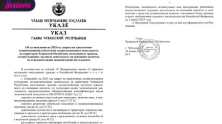 Мигрантам в Чувашии запретили работать в сферах образования, общественного транспорта и культуры