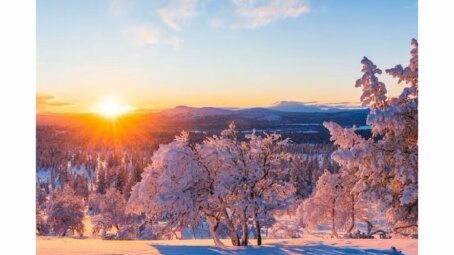 Безвизовый режим с Саудовской Аравией: Россия готовится к «взрывному» росту туристов из стран Персидского залива