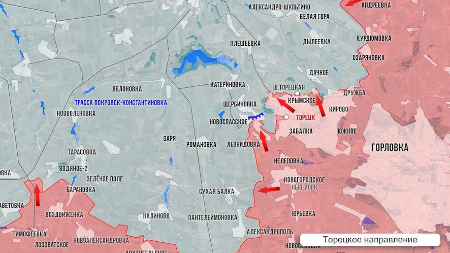 Фронтовая сводка Олега Царёва 12 февраля