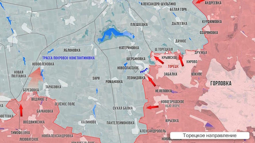 Фронтовая сводка Олега Царёва на 20 февраля 2025 года