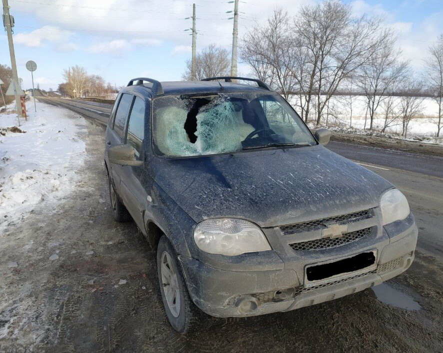 Кусок льда чуть не убил пассажирку легкового авто в Воронежской области