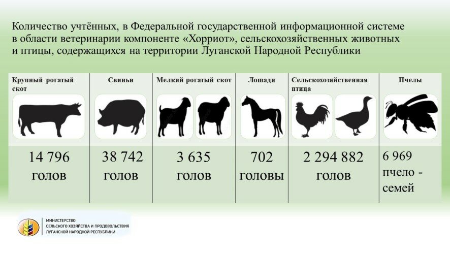 В ЛНР посчитали домашних животных