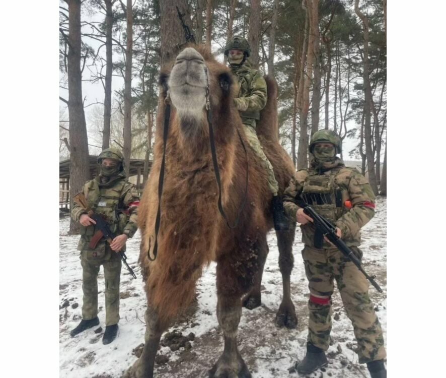 Олег Царев: Фронтовая сводка 9 февраля