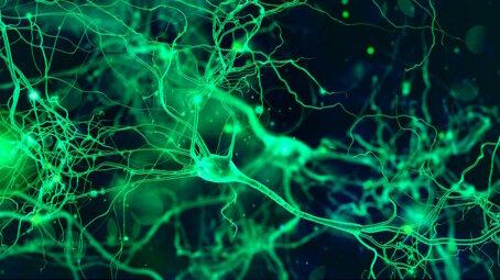 Туман в голове после химиотерапии: пермские ученые нашли способ предсказать риск