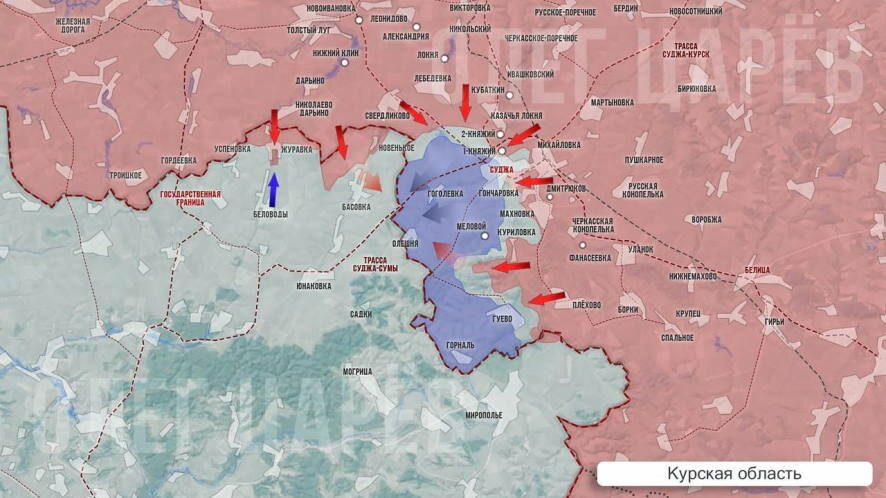 Олег Царев — о ситуации в Курской области днём 12 марта