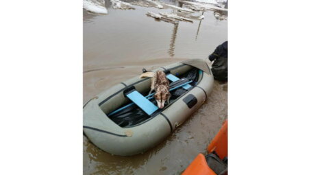 Паводок затопил город Аша в Челябинской области