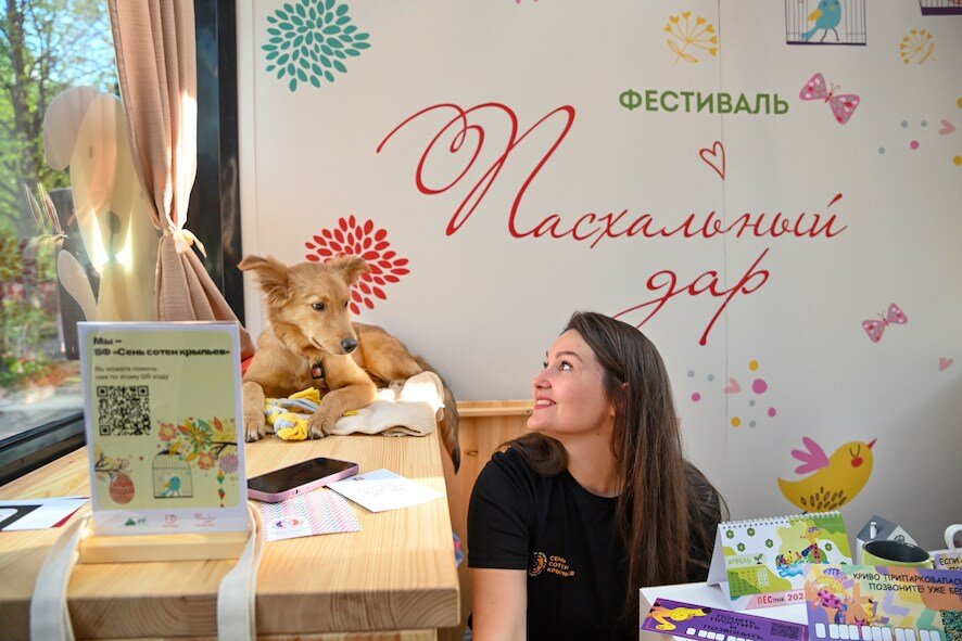 Более 1100 килограммов корма собрали для животных из московских приютов гости и участники проекта «Четвероногий друг»