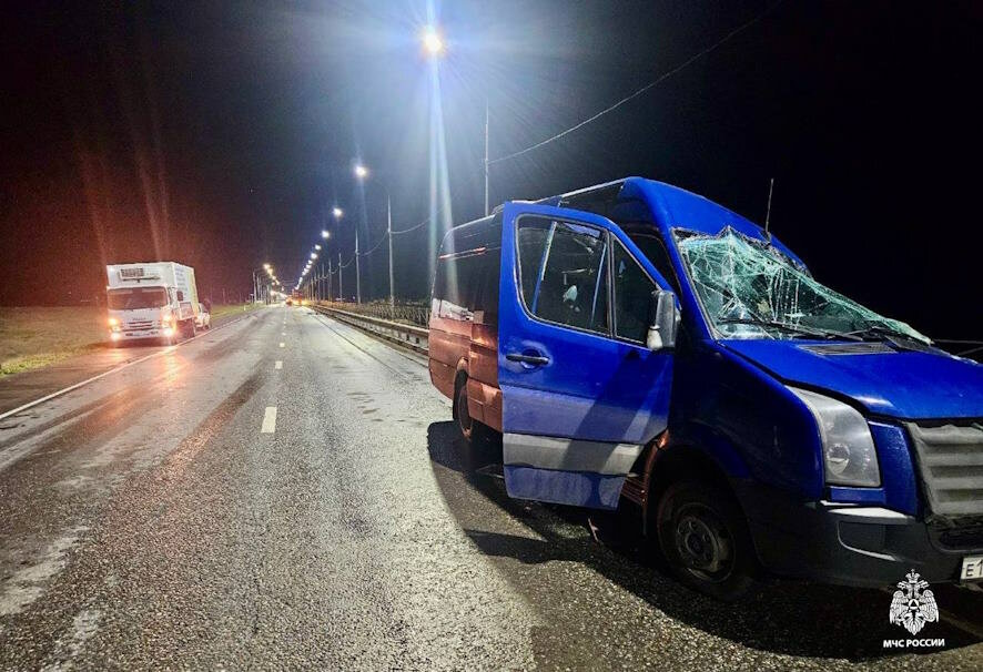7 человек погибли в ДТП с пассажирским микроавтобусом на трассе в Калмыкии