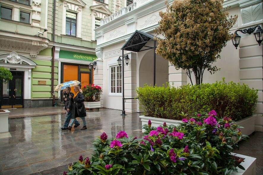 Москва в цвету: какие прогулки подготовил фестиваль «Сады и цветы» этим летом