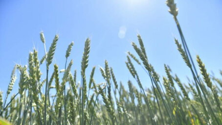 В России утвердили новый стандарт на этиловый спирт: появятся категории «Классический» и «Ультра»