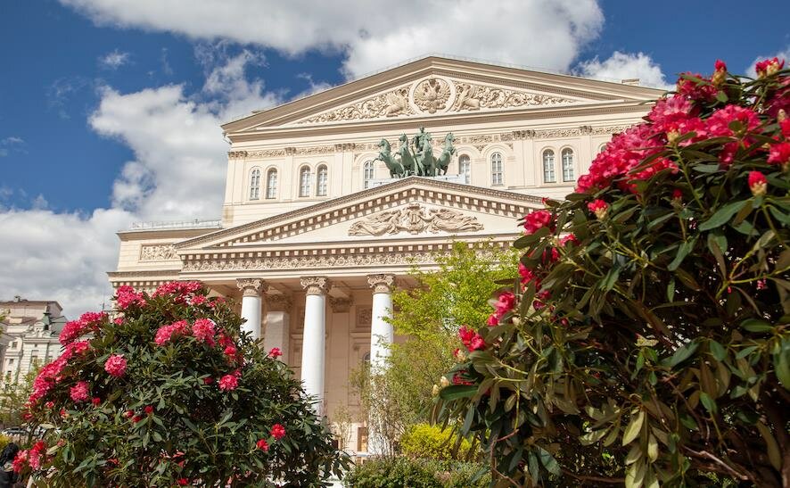Вертикальные леса, тропический сад и вишнёвый цвет в сердце мегаполиса
