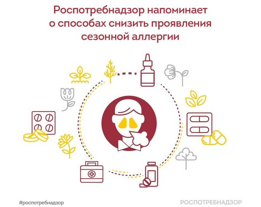 Как пережить сезон аллергии: проверенные способы облегчения симптомов