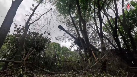 Сводка Минобороны о ходе спецоперации 19 ноября. Коротко