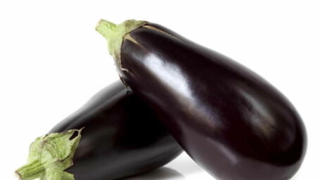 Как вырастить крепкие баклажаны и получить богатый урожай