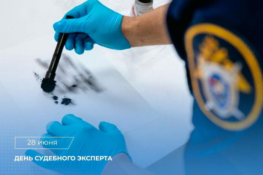 28 июня — День судебного эксперта