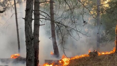 ВСУ продолжали обстреливать мирные населённые пункты левобережья Херсонской области