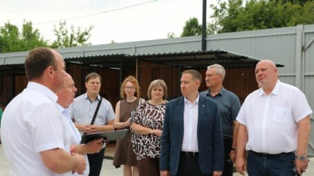 Депутаты обсудили вопросы учета и отлова безнадзорных животных в Саратовской области