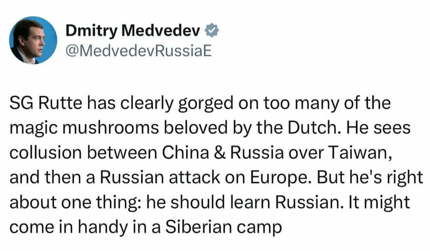 Медведев – о том, что русский язык пригодится генсеку НАТО Рютте в сибирском лагере
