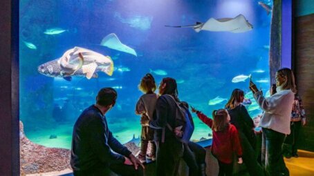 Десять лет эмоций, знаний и открытий: «Москвариум» на ВДНХ празднует свой юбилей