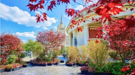 Предприниматели украсили площади у станций московского метрополитена в рамках фестиваля «Сады и цветы»