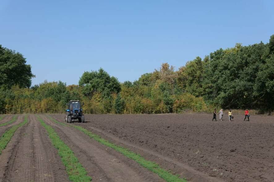 Саратовские лесхозы ведут подготовку к предстоящей высадке деревьев на территории Саратовской области