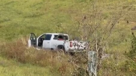 Планета обезьян: самое начало?