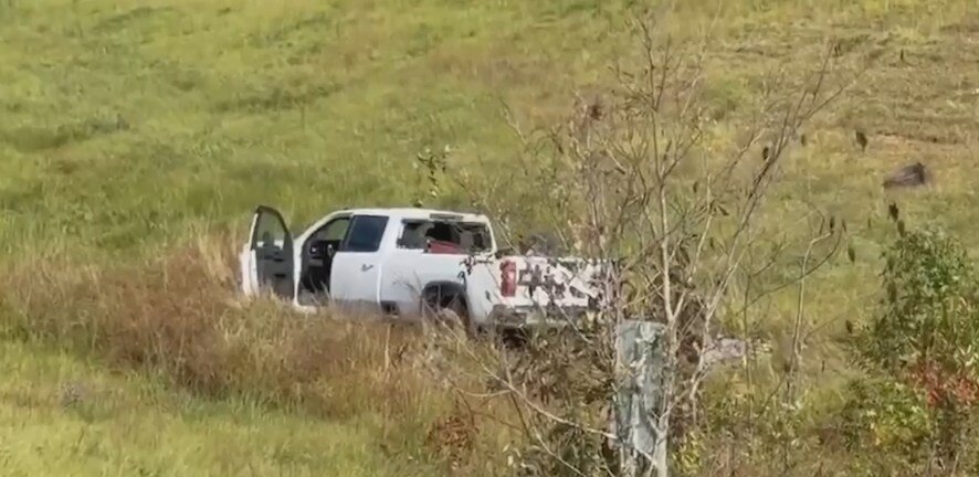 Планета обезьян: самое начало?