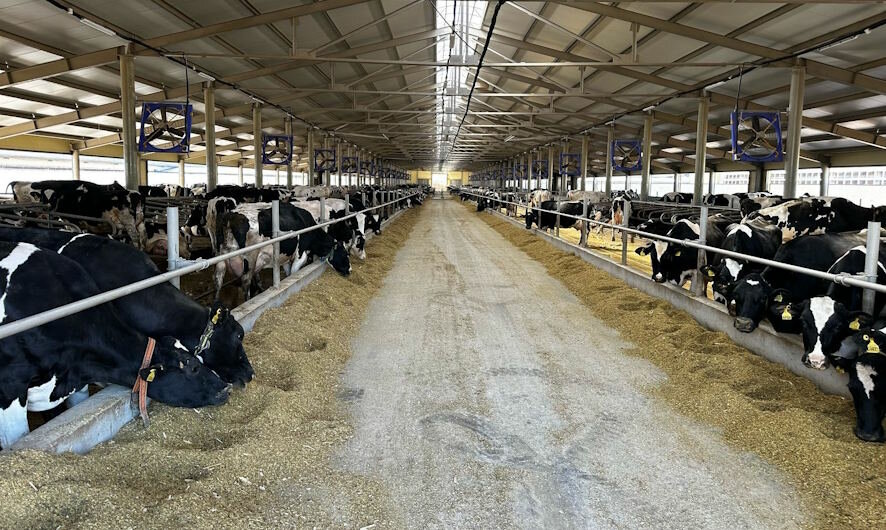 Инвестиции в АПК: Марксовский район наращивает производственный потенциал