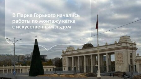 Москва готовится к встрече Нового года. Елки уже поставили