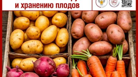 Осенний маркетинг: как выбрать идеальные овощи и фрукты и избежать отравления