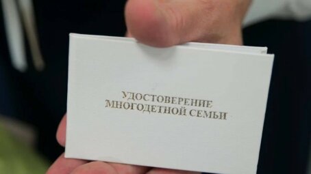 Более 26 тысяч многодетных семей в Саратовской области получили новые удостоверения