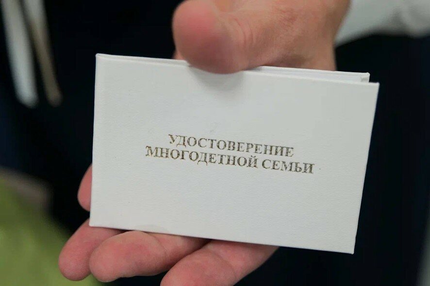 Более 26 тысяч многодетных семей в Саратовской области получили новые удостоверения