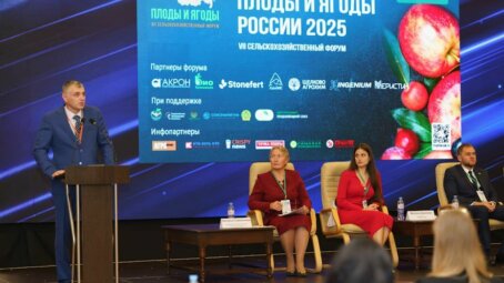 «Плоды и ягоды России – 2025»: что ждет садоводство в эпоху профицита