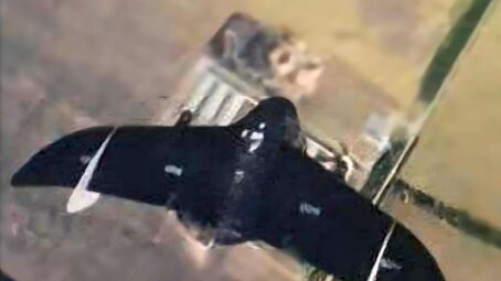 Сводка Минобороны РФ о ходе спецоперации 25 ноября. Коротко