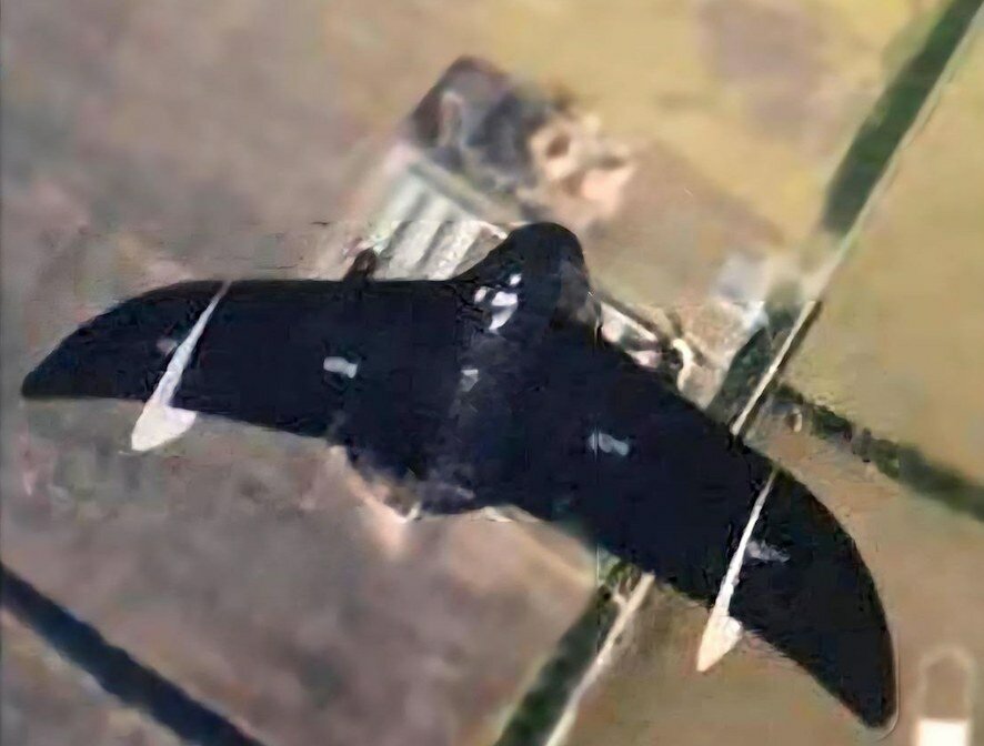 Сводка Минобороны РФ о ходе спецоперации 25 ноября. Коротко