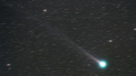 Небесная гостья на вечер: как увидеть комету Леммон