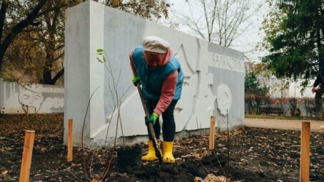 В парке «Территория детства» в Саратове высаживают новые растения из местных питомников