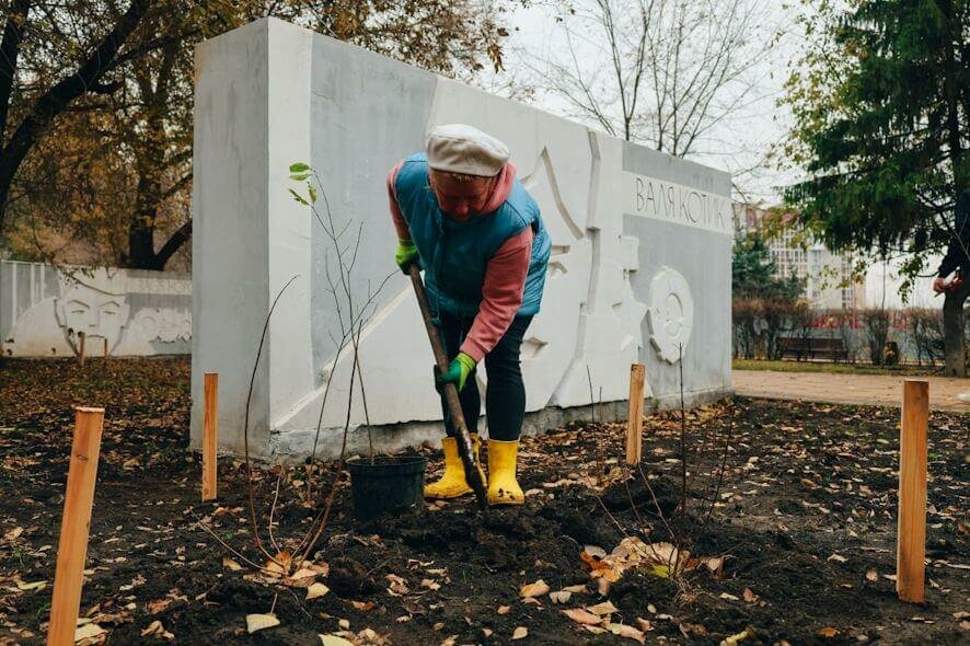 В парке «Территория детства» в Саратове высаживают новые растения из местных питомников
