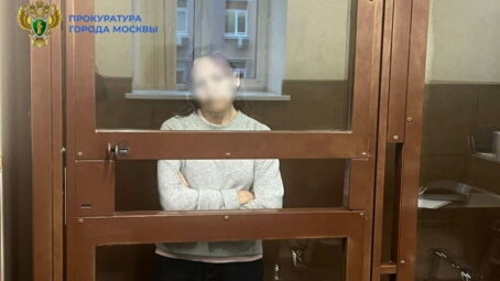 Суд заключил под стражу 64-летнюю женщину, толкнувшую девочку на пути в столичной подземке