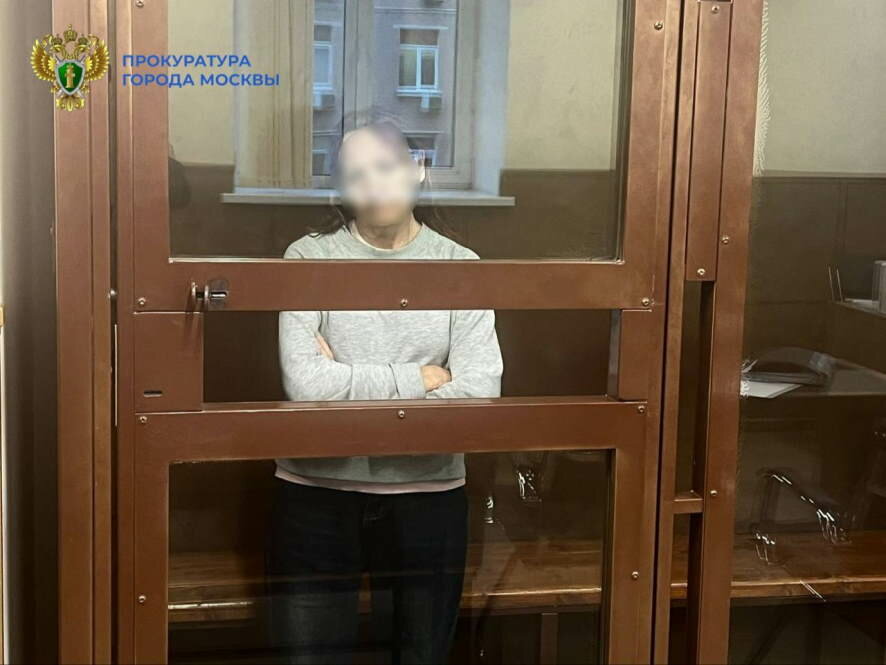 Суд заключил под стражу 64-летнюю женщину, толкнувшую девочку на пути в столичной подземке