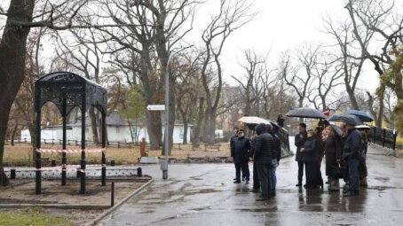 В городском парке Саратова началось обновление: устанавливают освещение и новые объекты