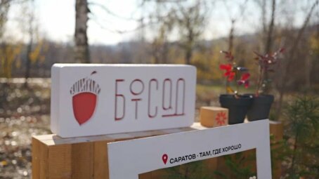 Ботанический сад Саратова принял 8000 посетителей после обновления