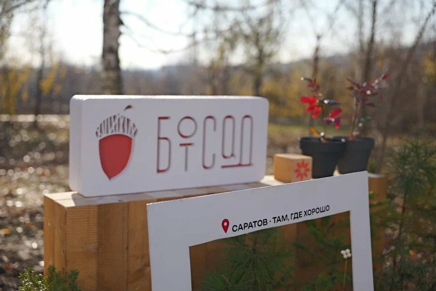 Ботанический сад Саратова принял 8000 посетителей после обновления