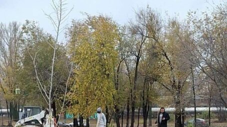 Территорию нового онкологического диспансера в Саратове благоустроили: высажено более 100 деревьев и кустарников