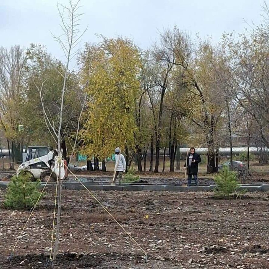 Территорию нового онкологического диспансера в Саратове благоустроили: высажено более 100 деревьев и кустарников