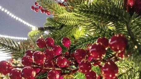 Как встретить Новый год без аллергии: советы подмосковного врача по выбору безопасного декора