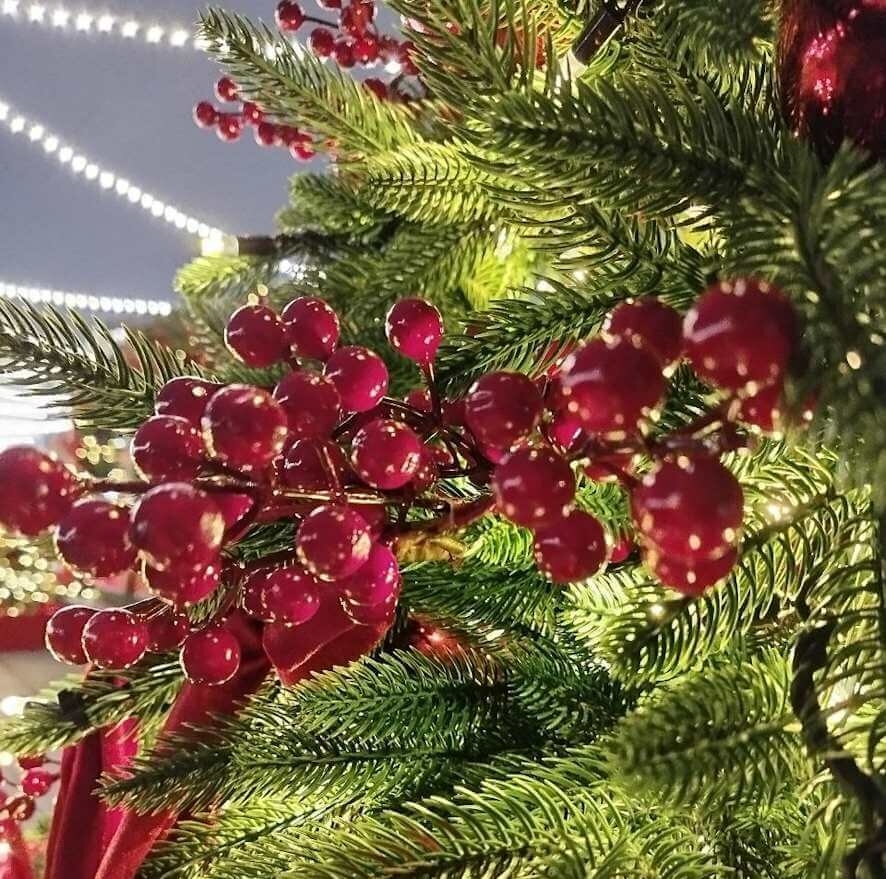 Как встретить Новый год без аллергии: советы подмосковного врача по выбору безопасного декора